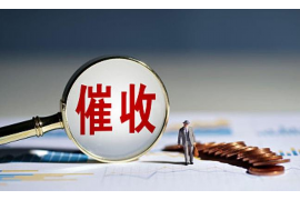 庐山专业催债公司的市场需求和前景分析